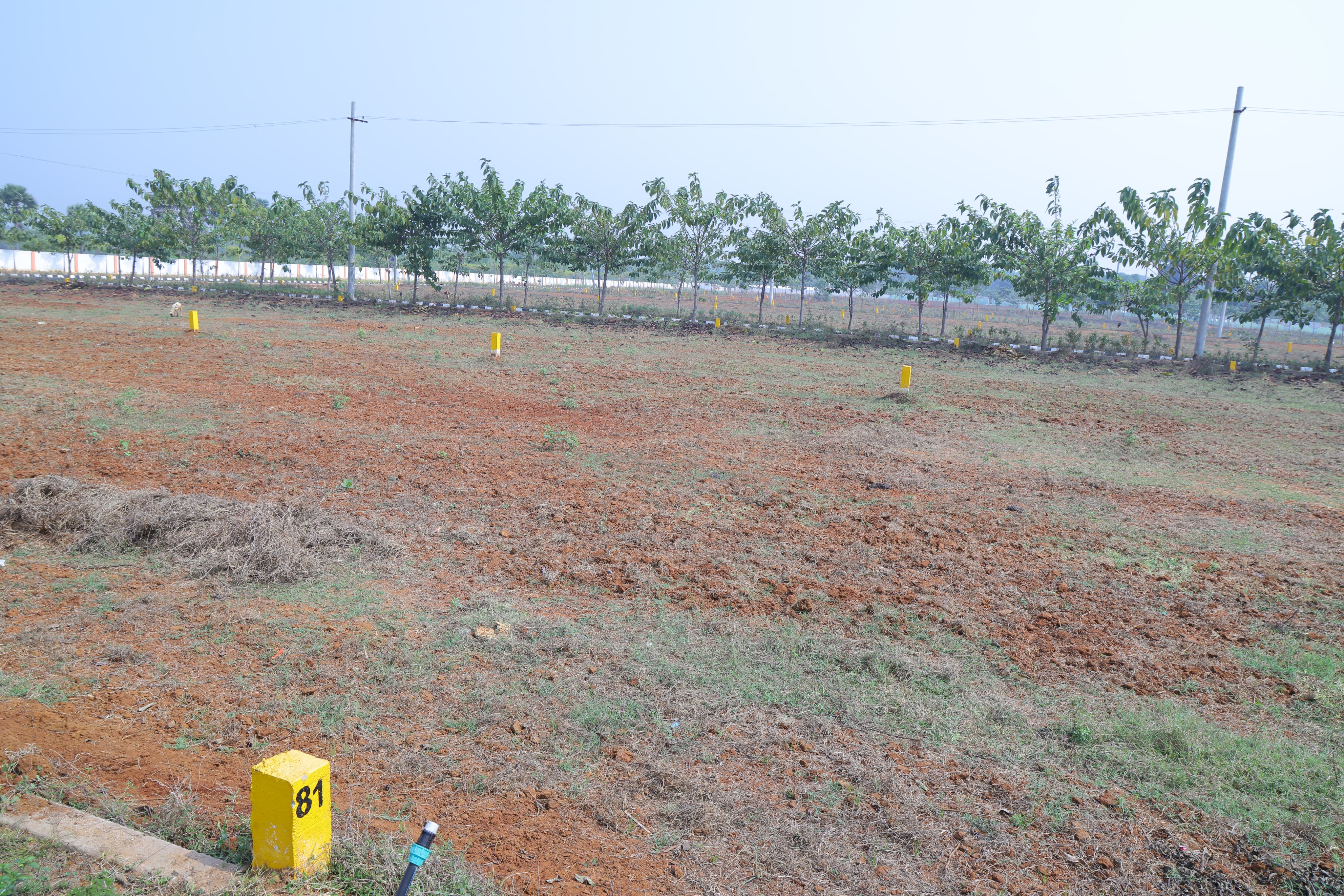 Visakhapatnam NO 1 properties