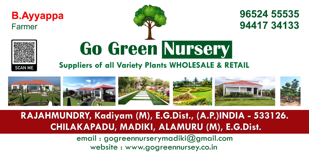 Go Green Nursery Kadiyam