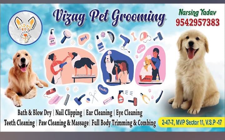 Vizag Pet Grooming Visakhapatnam